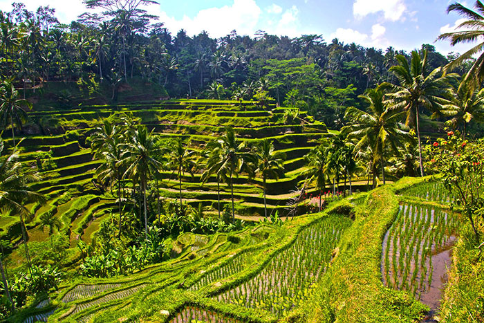 ĐẢO BALI - THIÊN ĐƯỜNG NGHỈ DƯỠNG